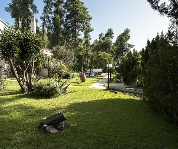 Sani Diamond By Luxlikehome Villa Sani (Chalkidiki)
